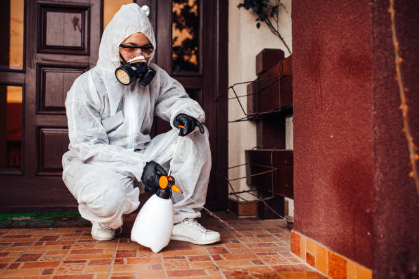 Attic and Crawl Space Rodent Treatment in St. Augustine Beach